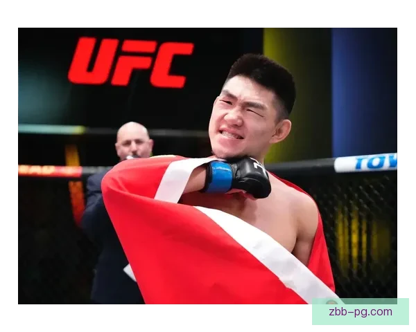 UFC直播：激情拳击，搏击之路