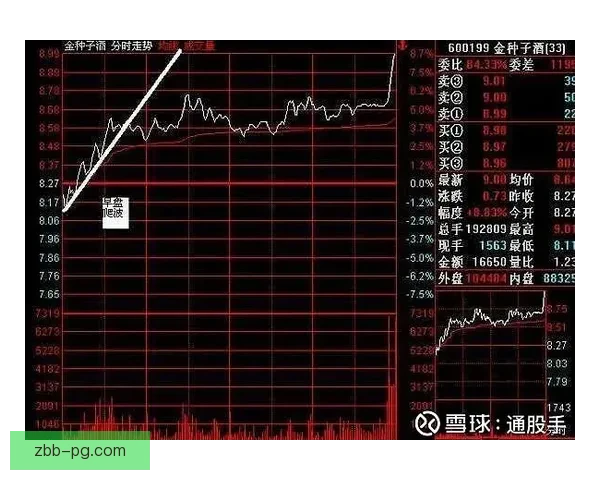 篮球即时盘口走势分析与预测