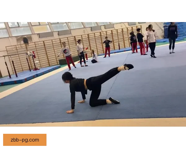 优质体操教学视频大放送，助你快速提升技术水平