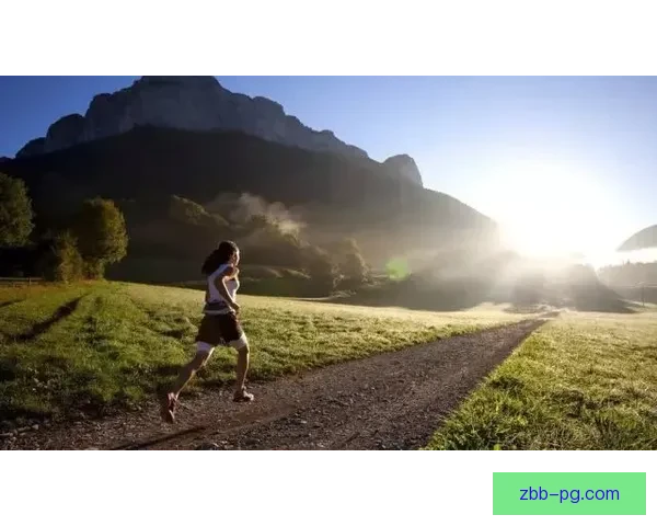 全面探索越野跑训练的有效方法及技巧