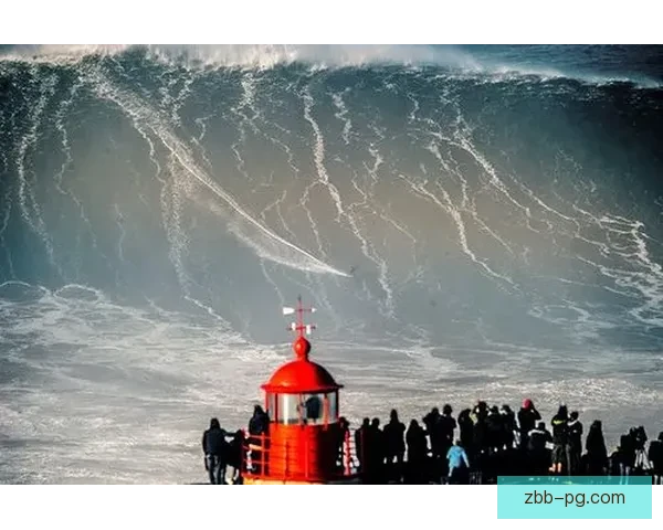 冲浪风暴：挑战极限，勇往直前