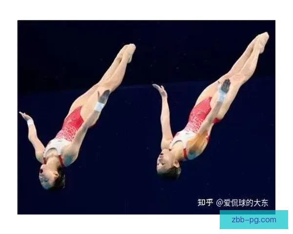 学会跳水，挑战自我，尽享水下世界。