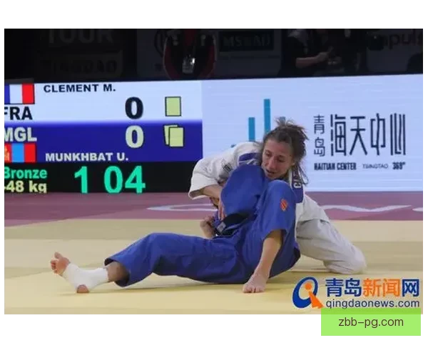 柔道大师的技巧精解