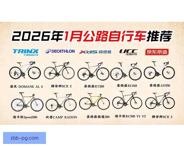 自行车排名：优秀车型推荐及购买指南