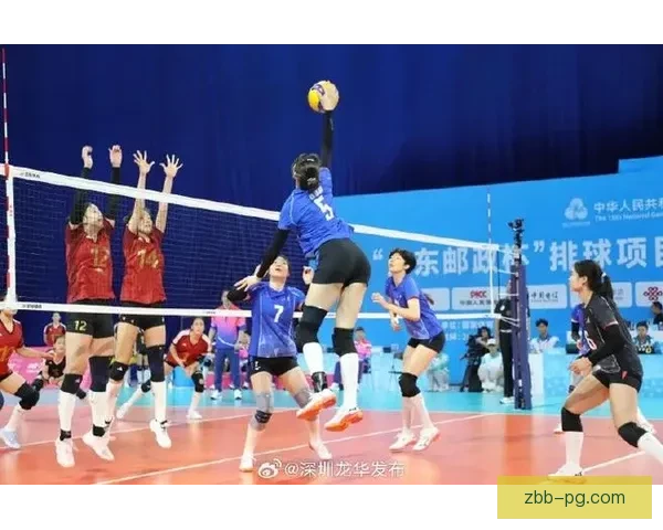 重返巅峰：排球冠军的荣耀与辉煌